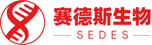 赛德斯